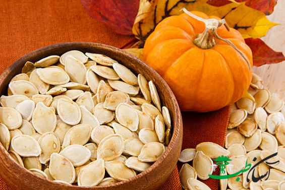 تخم کدو تنبل