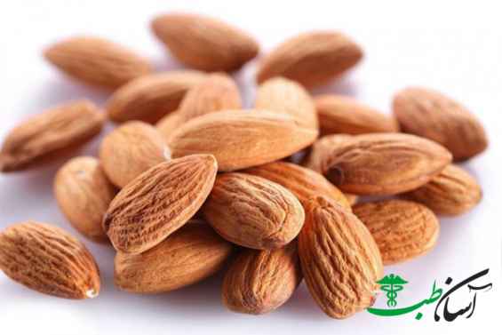 روغن هسته زردالو