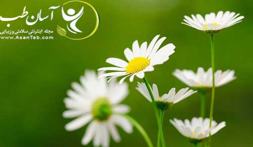 گل بابونه جهت رفع استرس