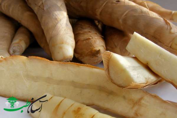 خواص ریشه کمانی خواص ریشه کمانی