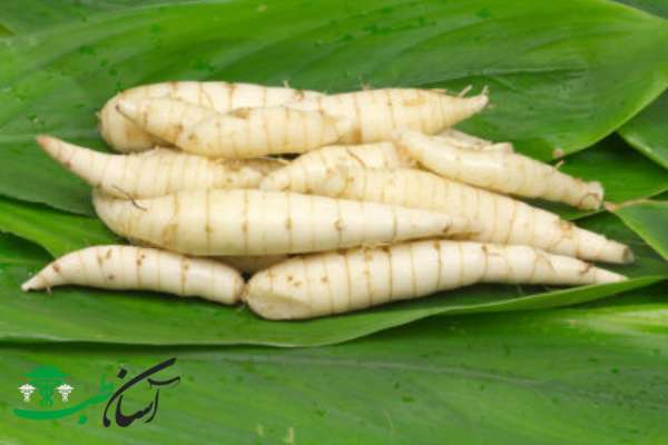 خواص ریشه کمانی