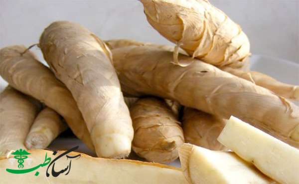 خواص ریشه کمانی