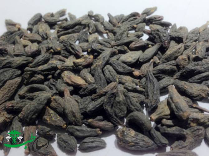 خواص هلیله سیاه در طب سنتی