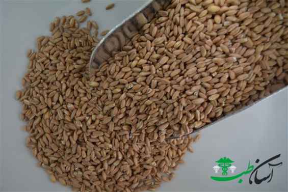 گندم آلمانی