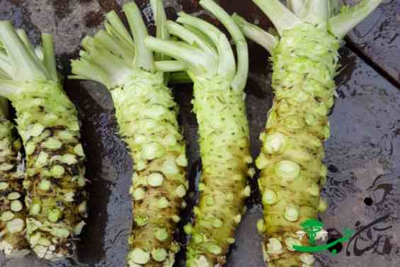 واسابی واسابی