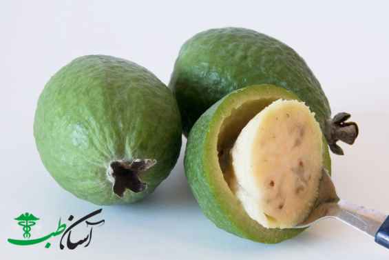 فیجوا فیجوا