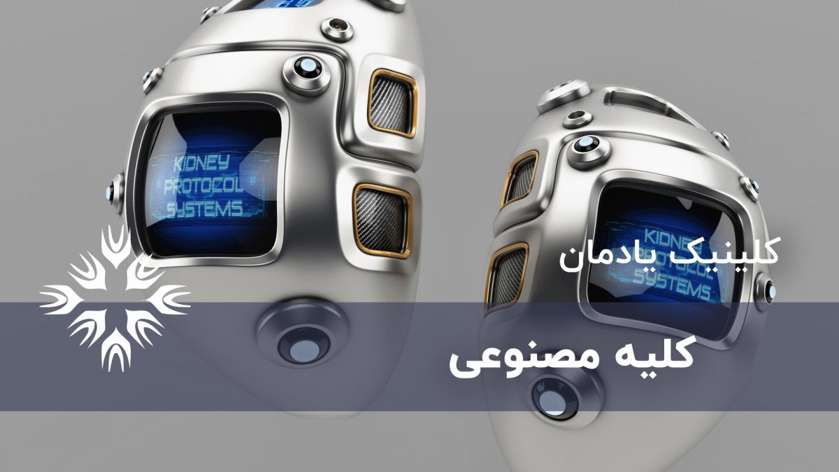 کلیه مصنوعی