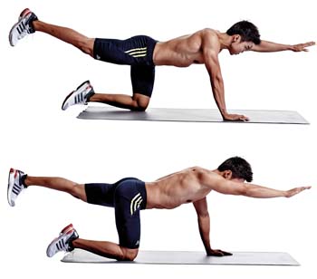 حرکت شنای سگ پرنده