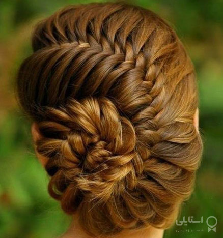 گیس تیغ ماهی شینیون شده