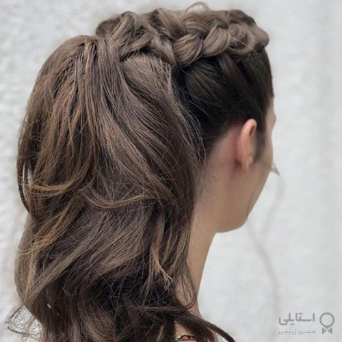 گیس هلندی با مو دم اسبی