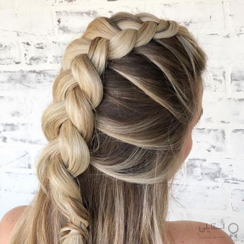 گیس هلندی به مدل موهاک