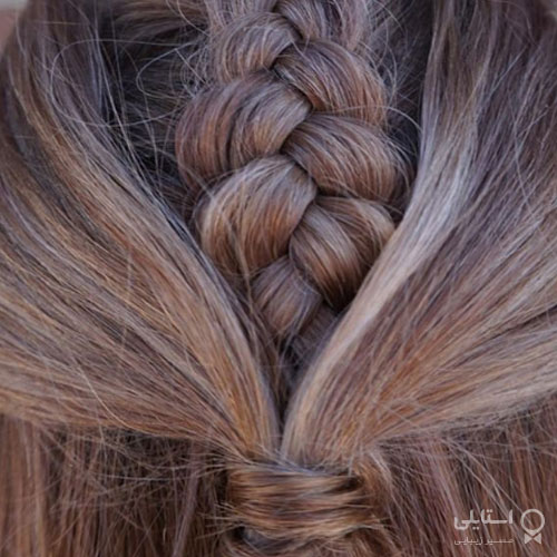 گیس هلندی نیمه بسته