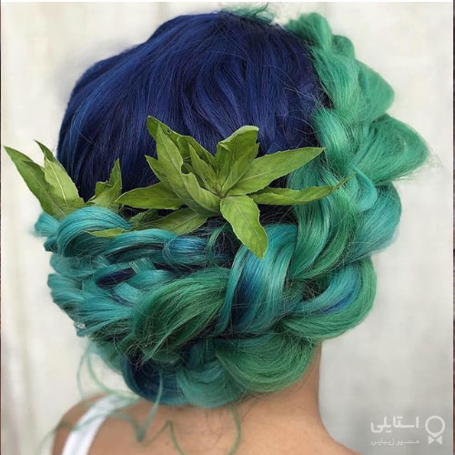 گیس هلندی دور فرق سر