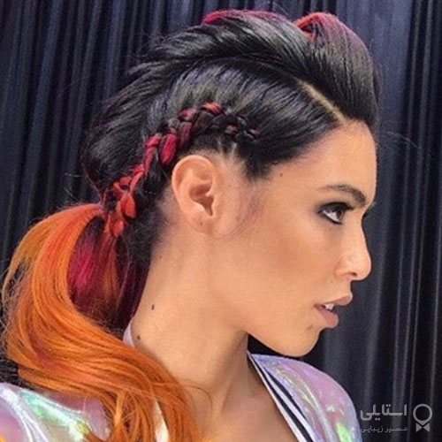 دم اسبی هلندی