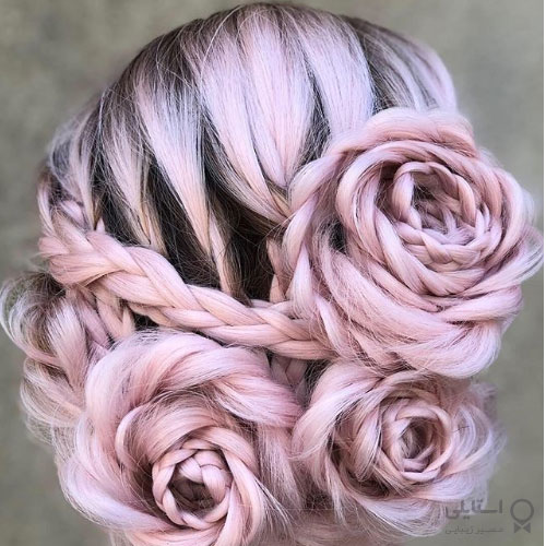 گیس هلندی رُزِتی