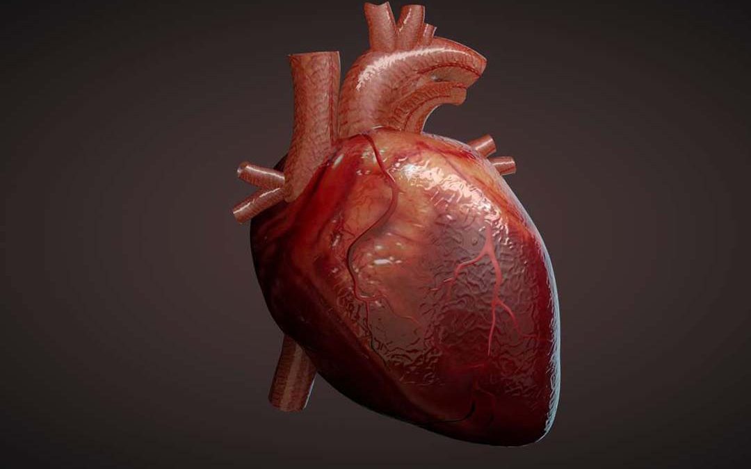 آشنایی با انواع بیماریهای قلبی به زبان ساده