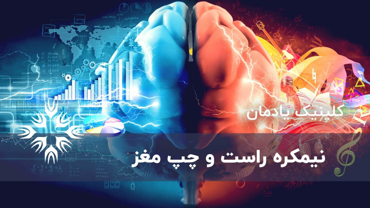 آشنایی با نیمکره های مغز نیمکره چپ و نیمکره راست