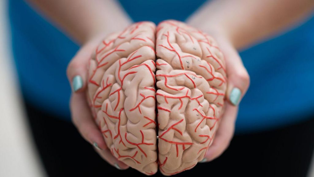 مراحل آلزایمر