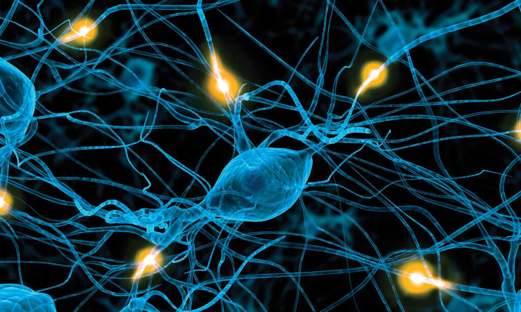 بیماری های تحلیل برنده عصبی