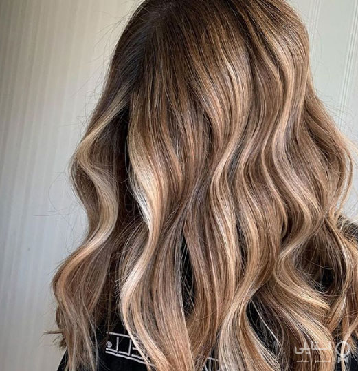 میدلایت بروند