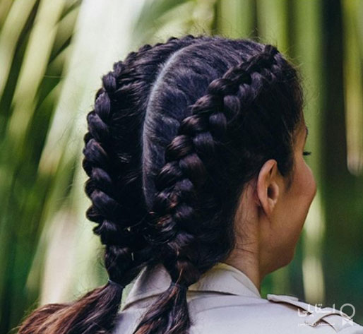 گیس فرانسوی