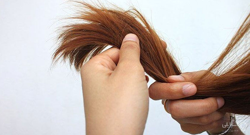 مراقبت از مو در خانه