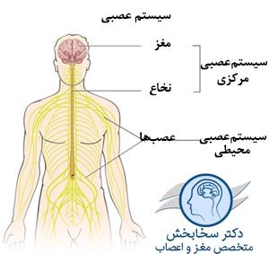 7a2884f6-0738-4009-9d7c-0f12f1a586b4