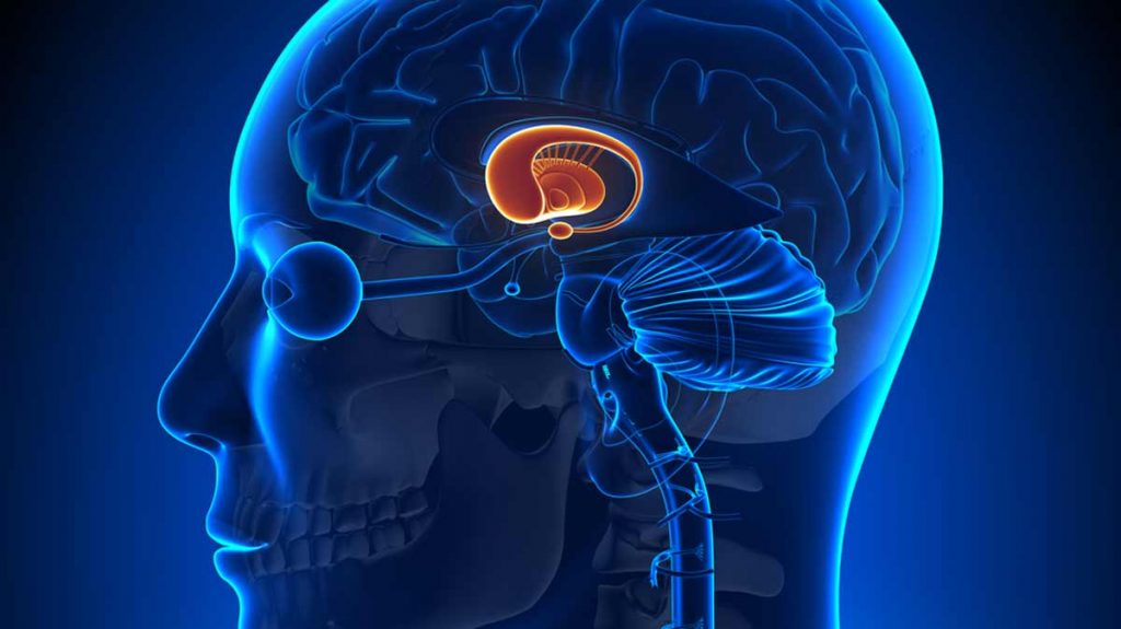 تشخیص هانتینگتون