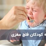تغذیه کودکان فلج مغزی
