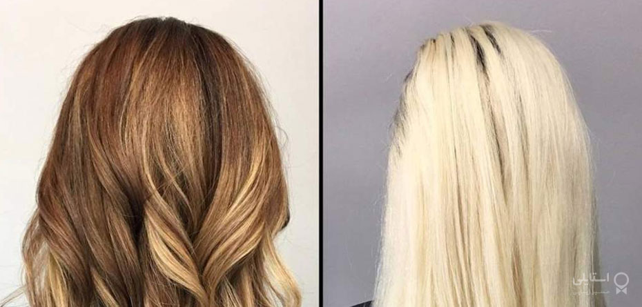 مش و هایلایت