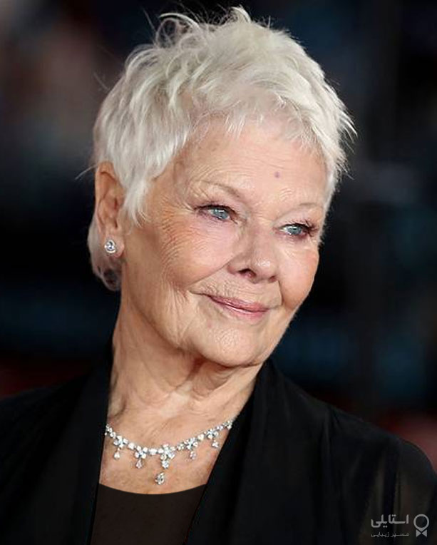 مدل موهای دیم جودی دنچ