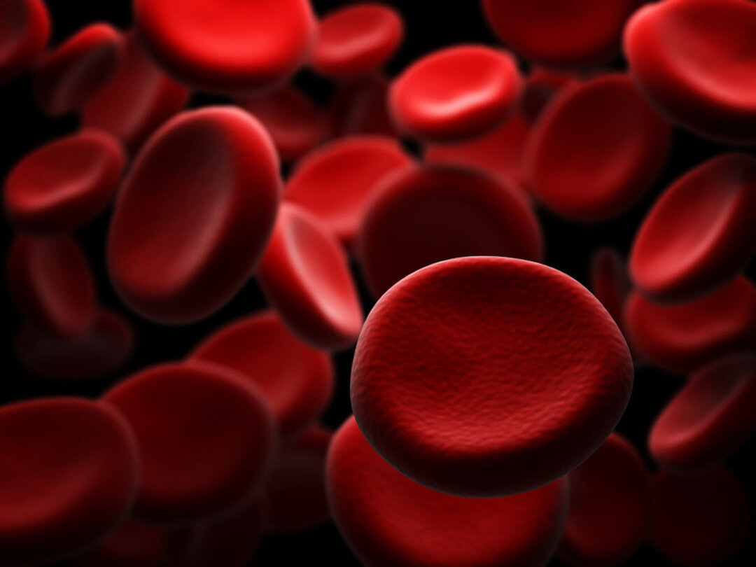 داروهای رقیق کننده ی خون