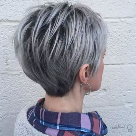  پیکسی نقره‌ای