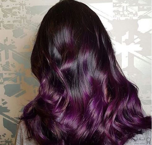 هایلایت بادمجانی