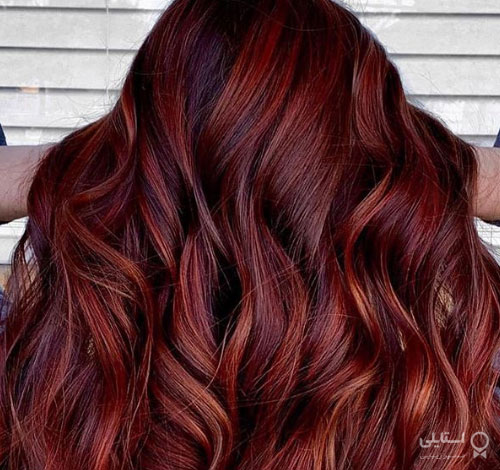 هایلایت‌های شرابی