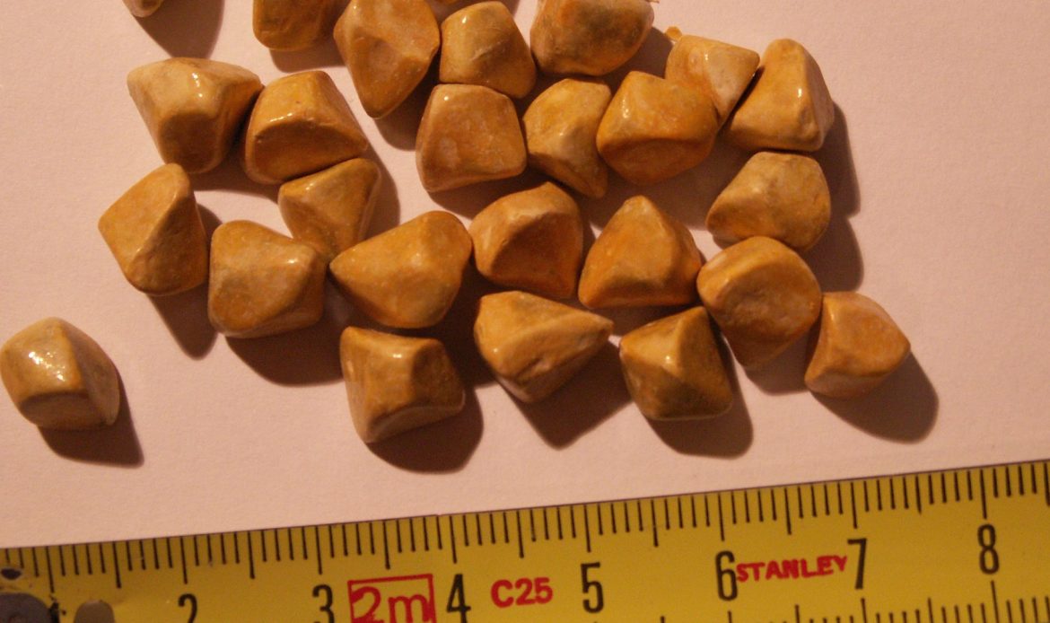 دلایل سنگ کیسه صفرا