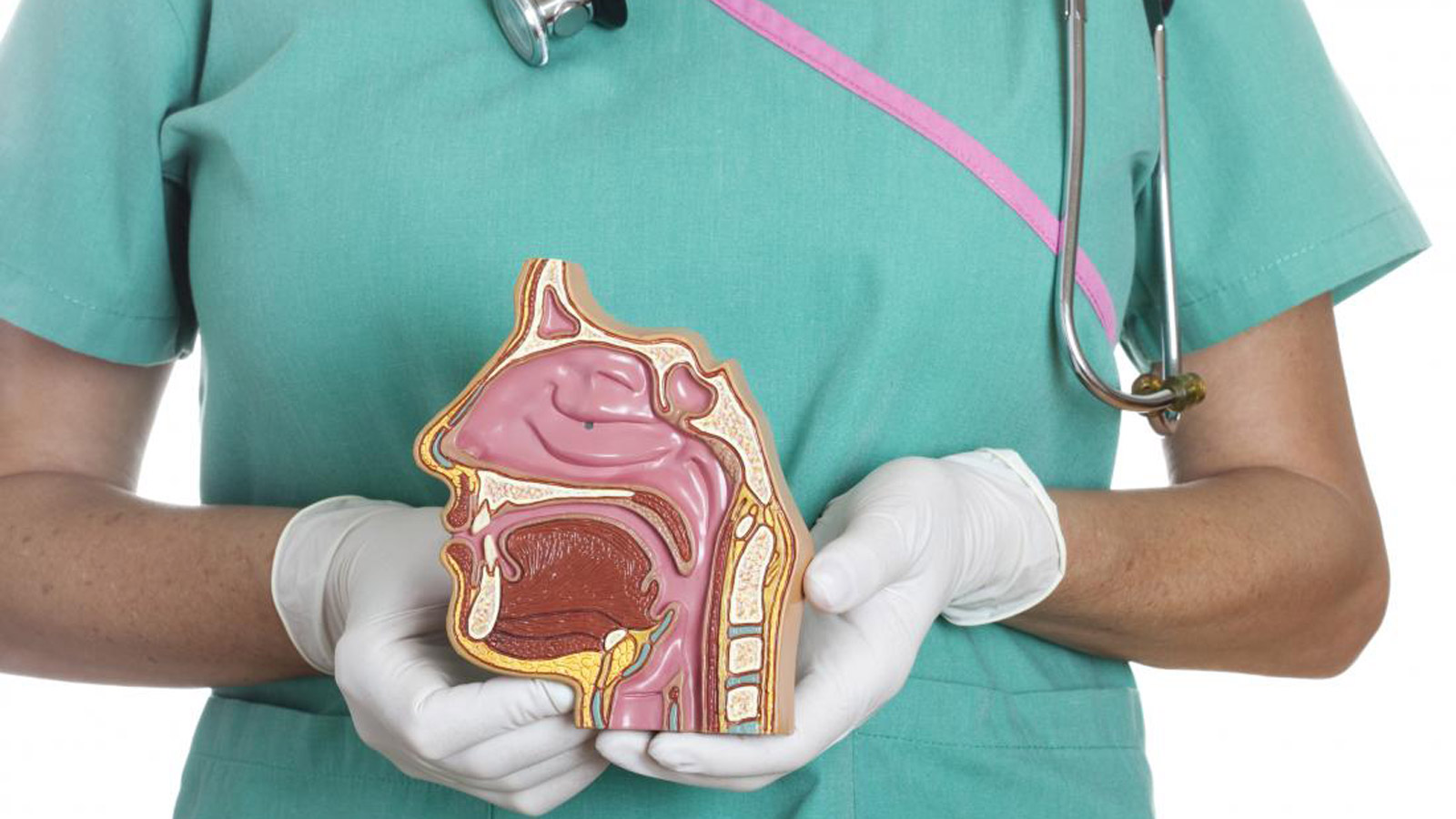 آندوسکوپی بینی