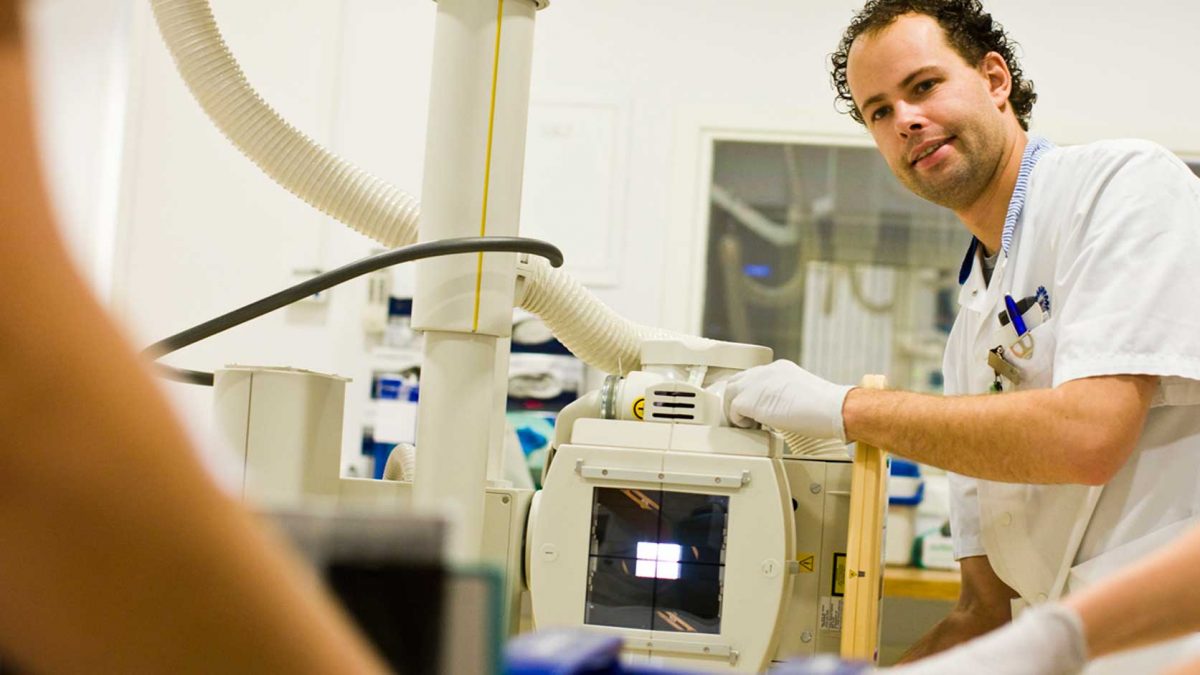 نوار عصب چشم