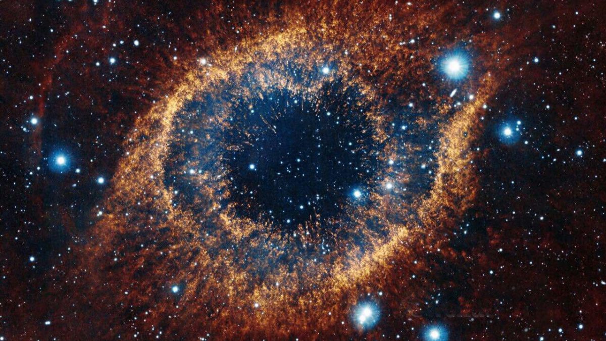 واقعیتهایی درباره چشم انسان