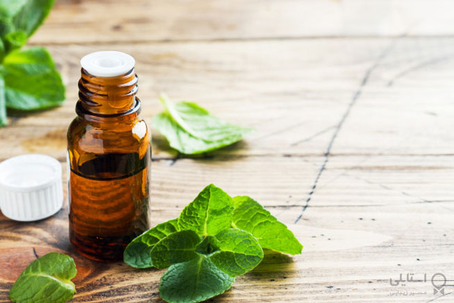  امتحان کردن روغن نعناع فلفلی