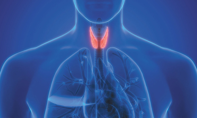 غده تیروئید