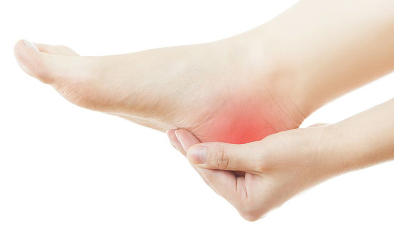 آناتومی مچ پا