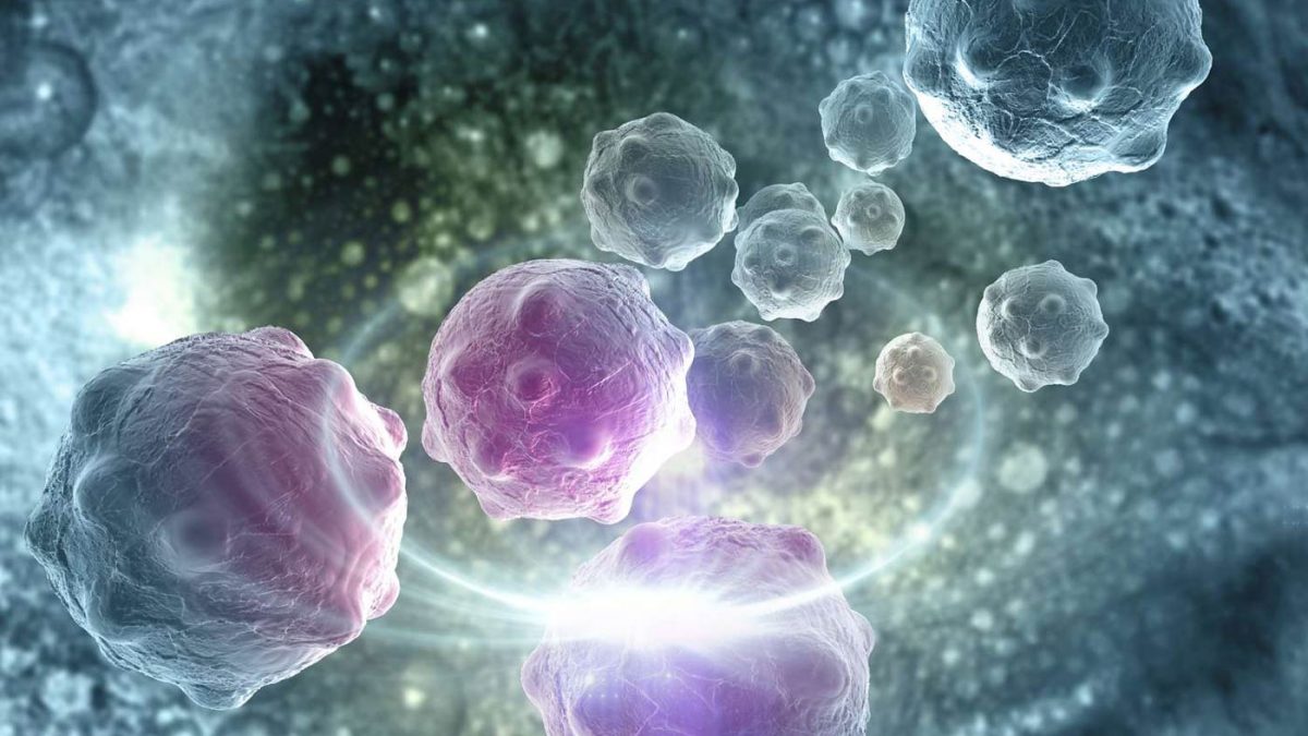چرا بدن از شر سلول های سرطانی خلاص نمی شود؟