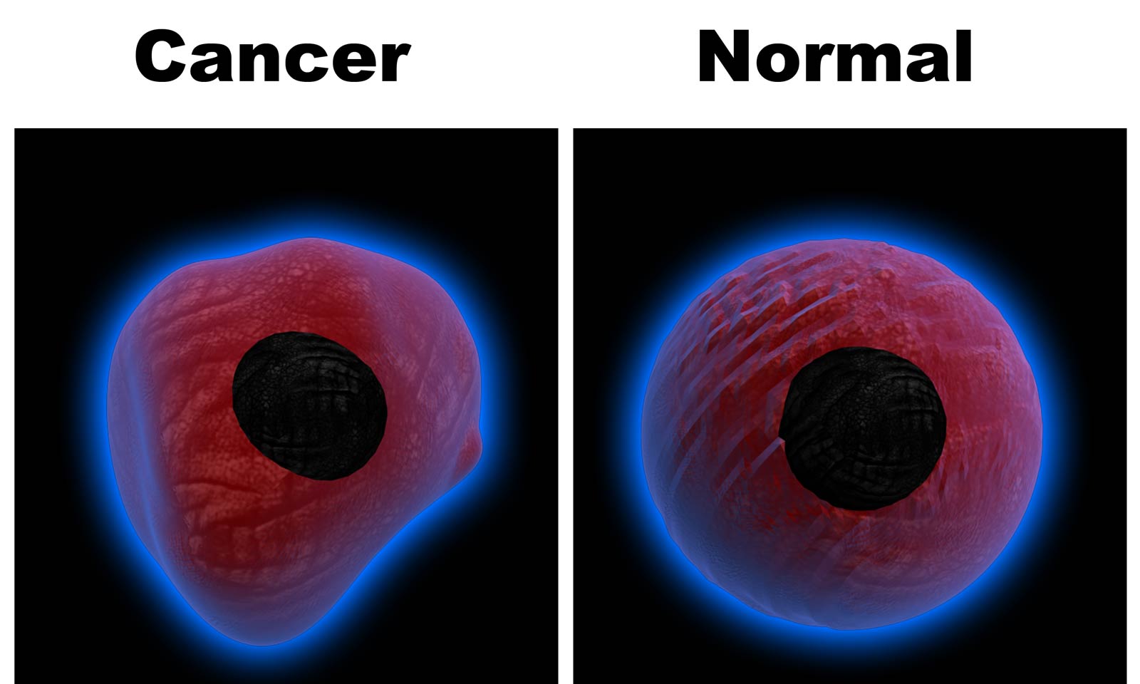 سلول طبیعی در مقابل سلول سرطانی